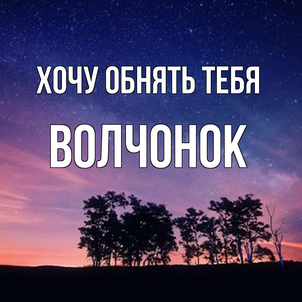 Открытка на каждый день с именем, Волчонок Хочу обнять тебя силуэты деревьев Прикольная открытка с пожеланием онлайн скачать бесплатно 
