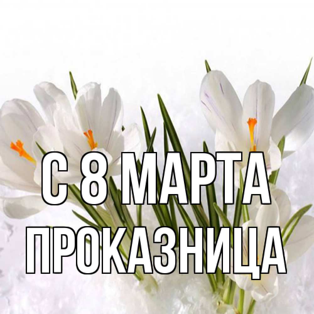 Открытка на каждый день с именем, Проказница C 8 МАРТА под снегом Прикольная открытка с пожеланием онлайн скачать бесплатно 