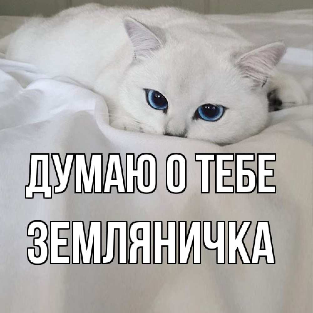 Открытка на каждый день с именем, Земляничка Думаю о тебе я очень по тебе скучаю и тоскую Прикольная открытка с пожеланием онлайн скачать бесплатно 