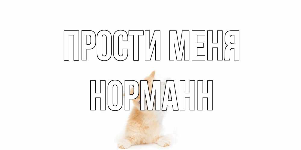 Открытка на каждый день с именем, Норманн Прости меня кот Прикольная открытка с пожеланием онлайн скачать бесплатно 