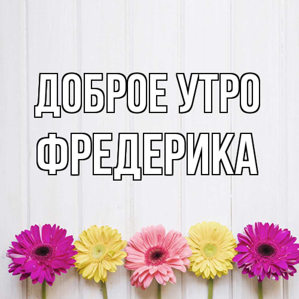 Открытка на каждый день с именем, Фредерика Доброе утро красный желтый и розовый цветок Прикольная открытка с пожеланием онлайн скачать бесплатно 