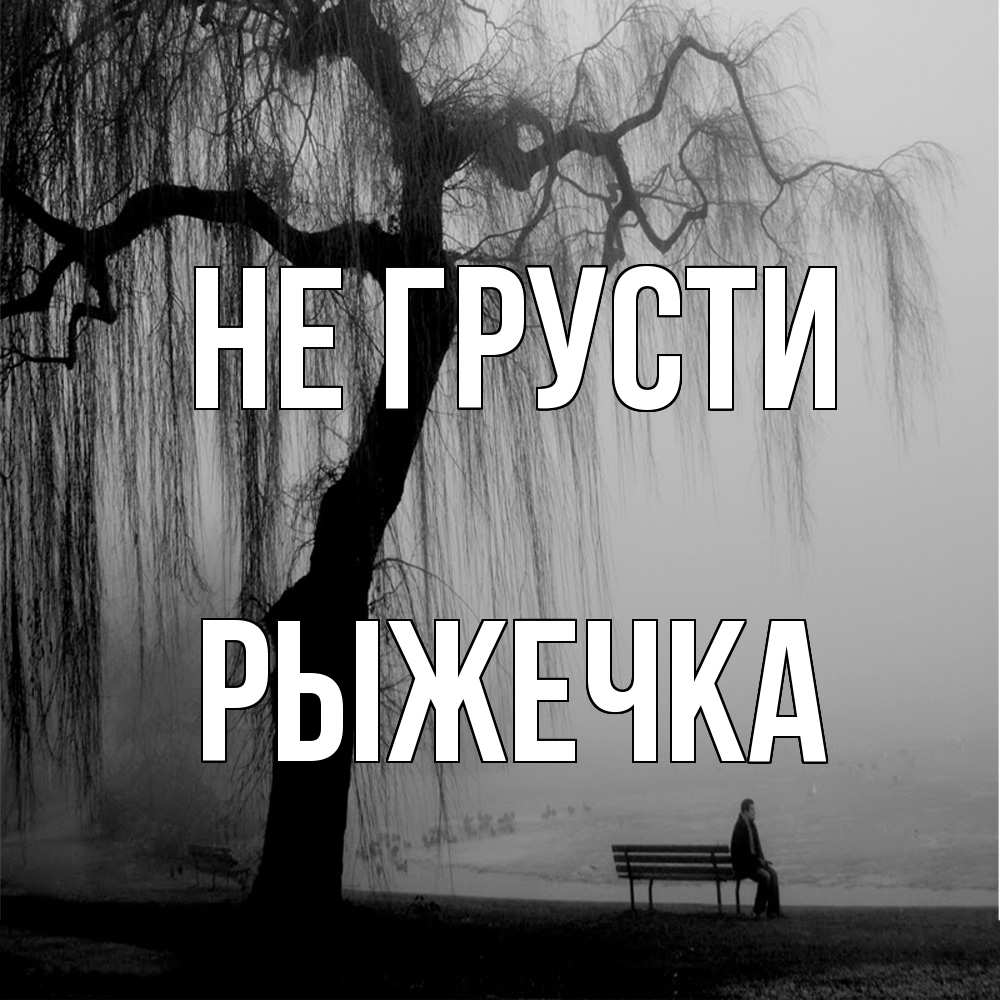 Открытка на каждый день с именем, рыжечка Не грусти висящие ветки дерева и лавочка под деревом Прикольная открытка с пожеланием онлайн скачать бесплатно 