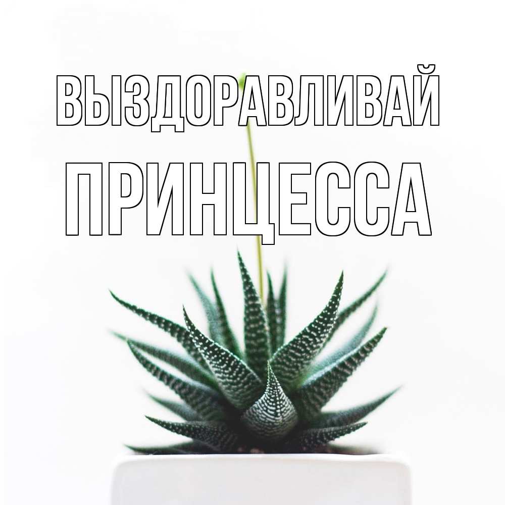 Открытка на каждый день с именем, Принцесса Выздоравливай короче это непонятная колючка Прикольная открытка с пожеланием онлайн скачать бесплатно 