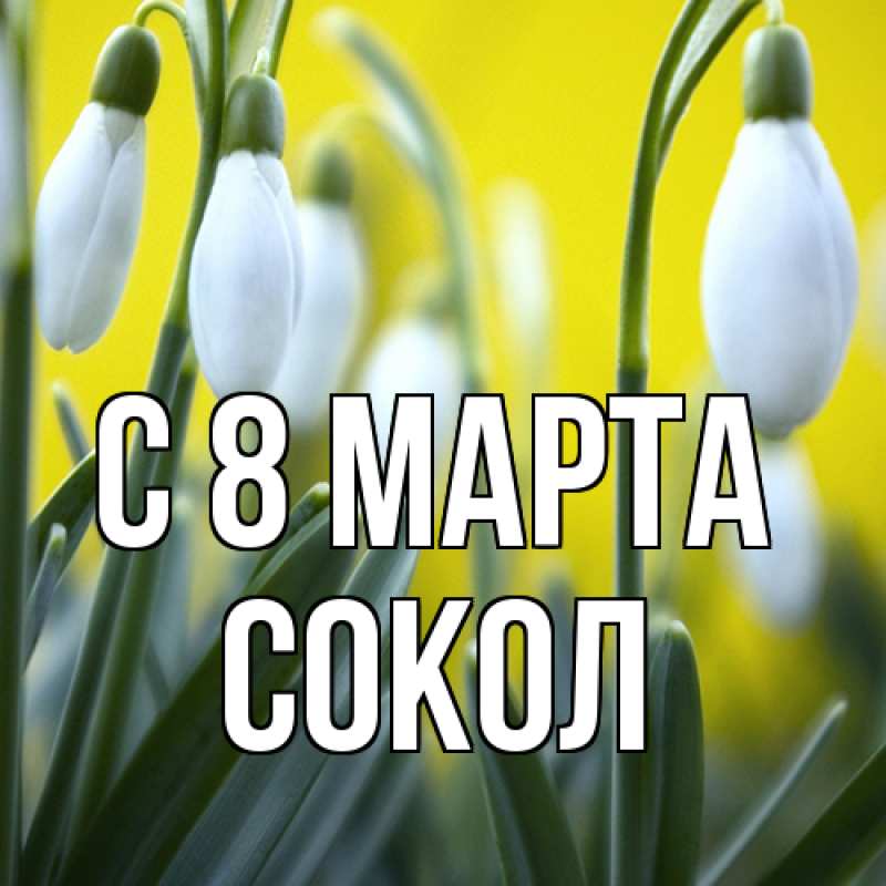 Открытка с именем, Сокол, C 8 МАРТА