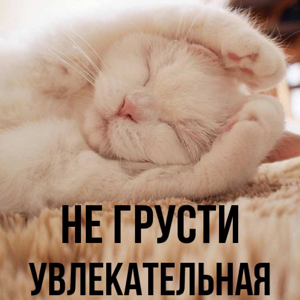 Открытка на каждый день с именем, Увлекательная Не грусти Котенок спит Прикольная открытка с пожеланием онлайн скачать бесплатно 