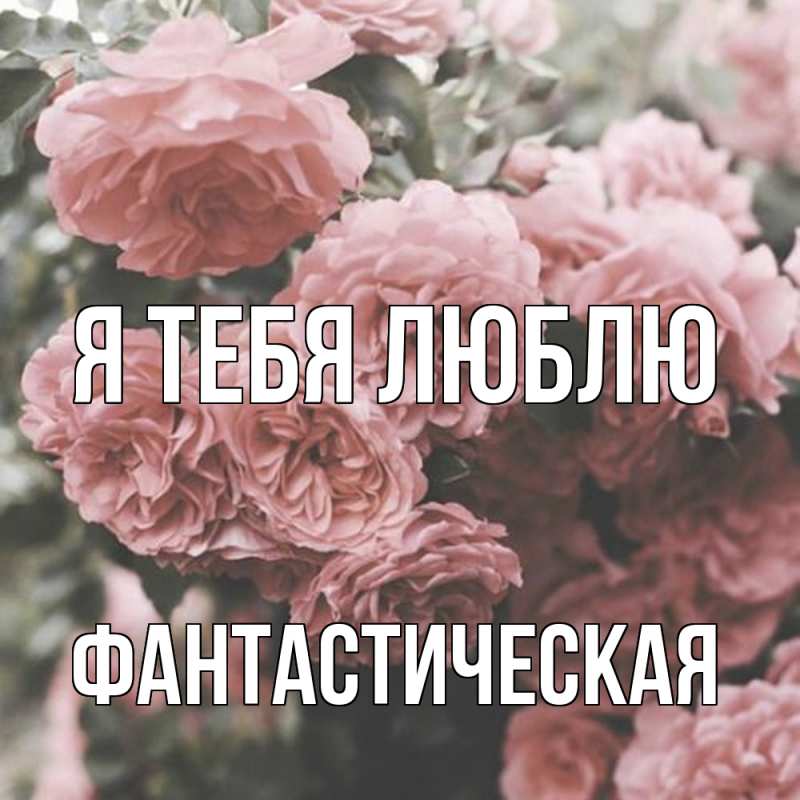 Картинка Я тебя люблю, Фантастическая