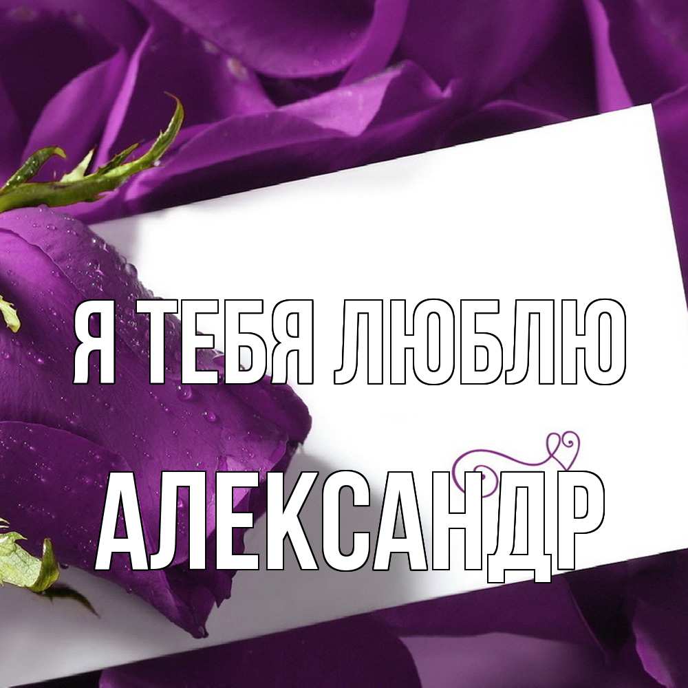 Открытка на каждый день с именем, Александр Я тебя люблю роза Прикольная открытка с пожеланием онлайн скачать бесплатно 