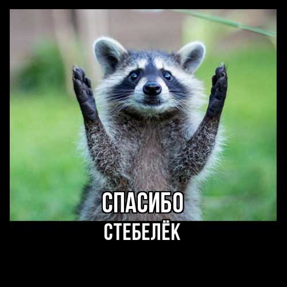 Открытка на каждый день с именем, Стебелёк Спасибо милые животные Прикольная открытка с пожеланием онлайн скачать бесплатно 