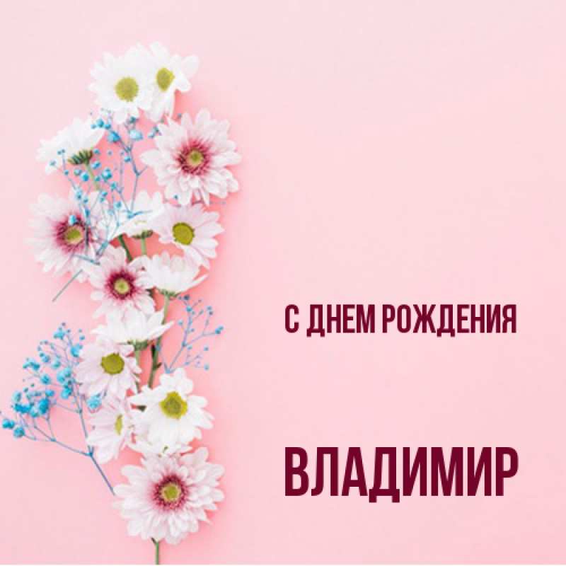 Картинка С днем рождения, Владимир