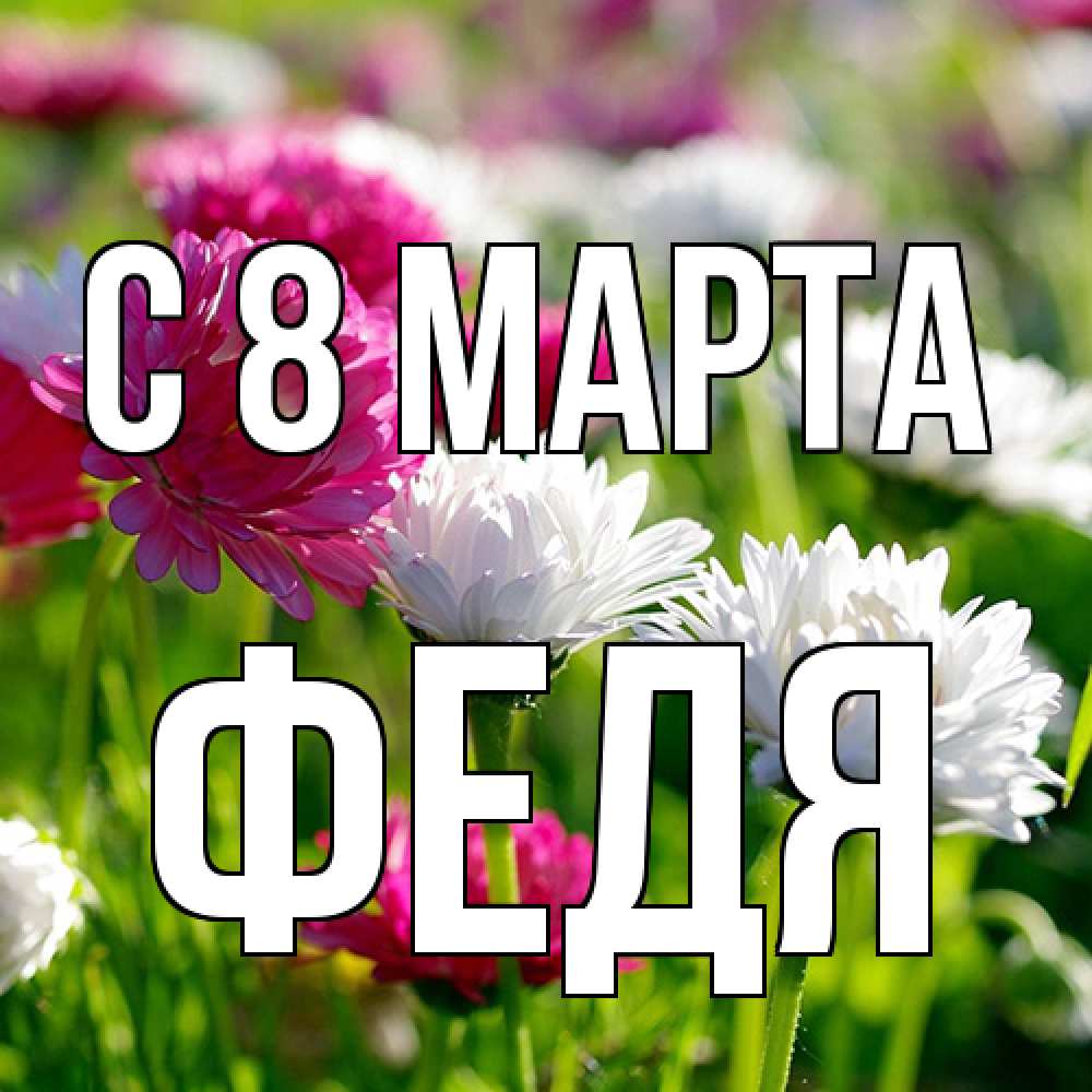 Открытка на каждый день с именем, Федя C 8 МАРТА международный женский день 1 Прикольная открытка с пожеланием онлайн скачать бесплатно 