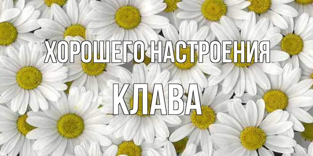 Открытка на каждый день с именем, Клава Хорошего настроения поляна ромашек Прикольная открытка с пожеланием онлайн скачать бесплатно 