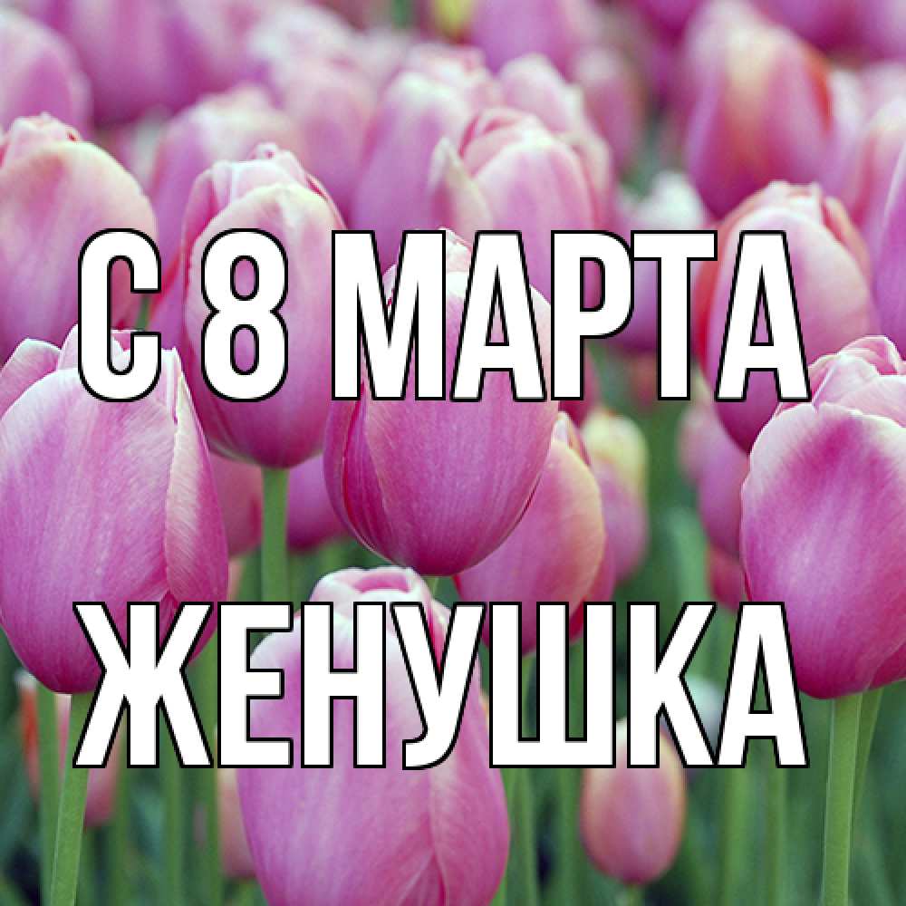 Открытка на каждый день с именем, женушка C 8 МАРТА на международный женский день 3 Прикольная открытка с пожеланием онлайн скачать бесплатно 