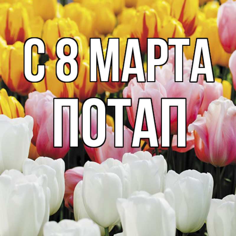 Картинка C 8 МАРТА, Потап