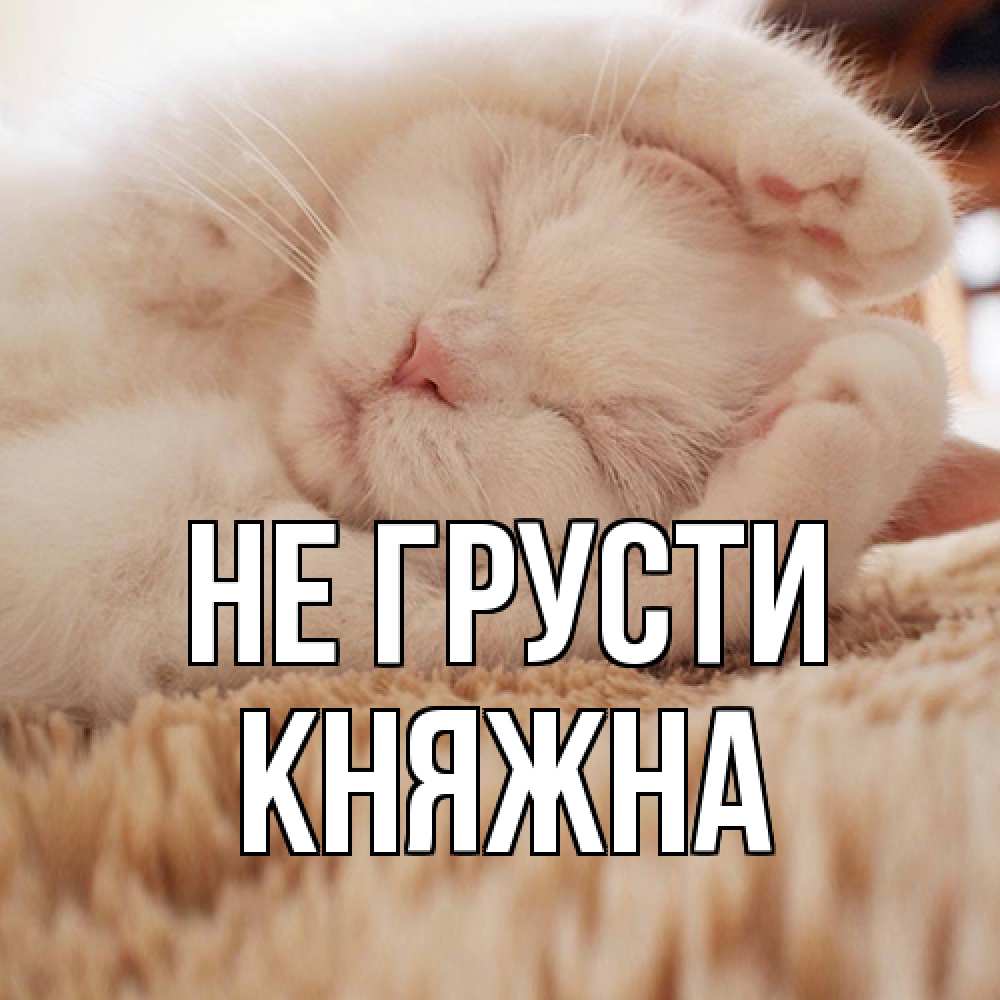 Открытка на каждый день с именем, Княжна Не грусти белый кот Прикольная открытка с пожеланием онлайн скачать бесплатно 