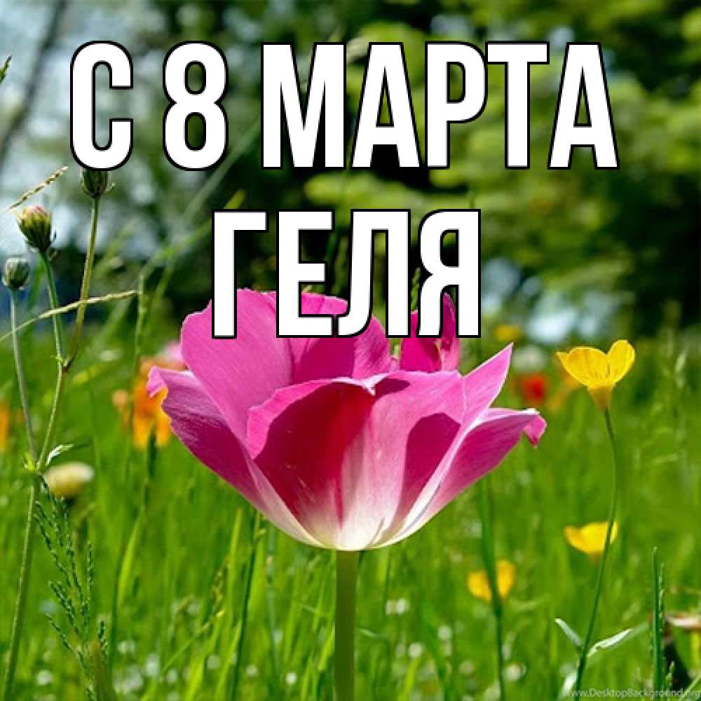 Открытка на каждый день с именем, Геля C 8 МАРТА полевые цветы Прикольная открытка с пожеланием онлайн скачать бесплатно 