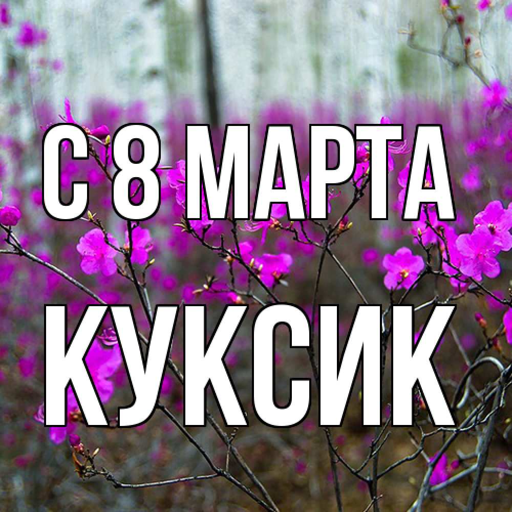 Открытка на каждый день с именем, куксик C 8 МАРТА дикие цветы Прикольная открытка с пожеланием онлайн скачать бесплатно 