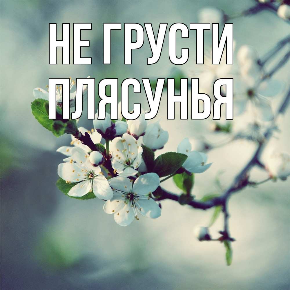 Открытка на каждый день с именем, Плясунья Не грусти яблоня в цвету 1 Прикольная открытка с пожеланием онлайн скачать бесплатно 