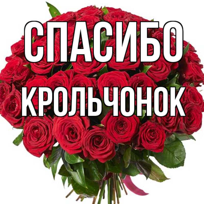 Картинка Спасибо, Крольчонок