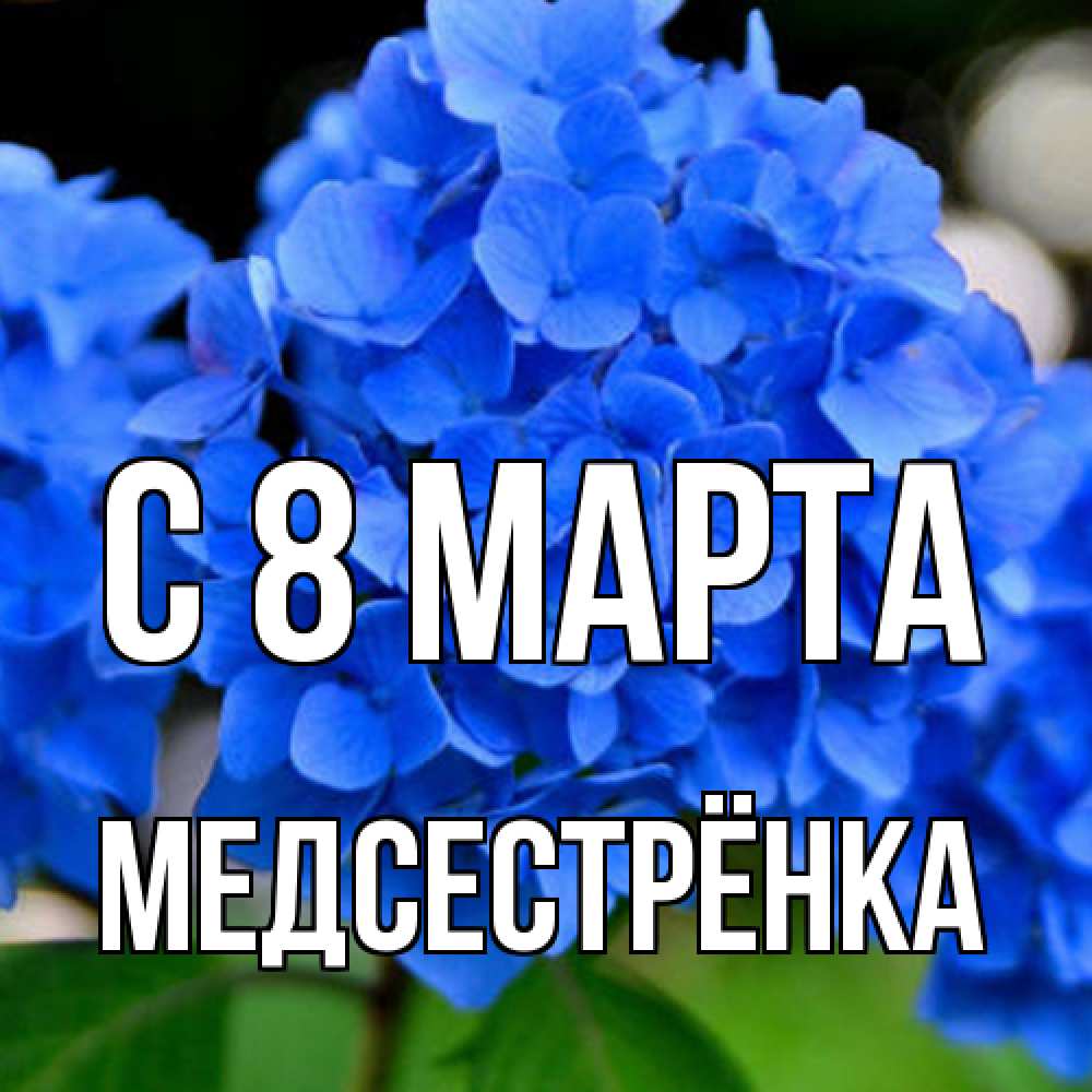 Открытка на каждый день с именем, Медсестрёнка C 8 МАРТА синие цветы Прикольная открытка с пожеланием онлайн скачать бесплатно 