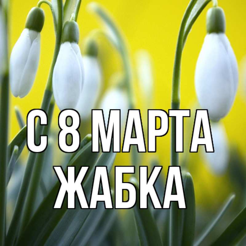 Картинка C 8 МАРТА, Жабка