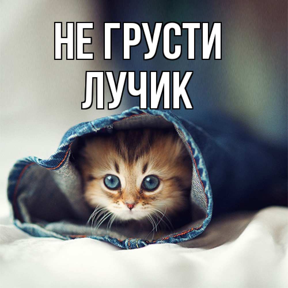 Открытка на каждый день с именем, Лучик Не грусти рыжик котик Прикольная открытка с пожеланием онлайн скачать бесплатно 
