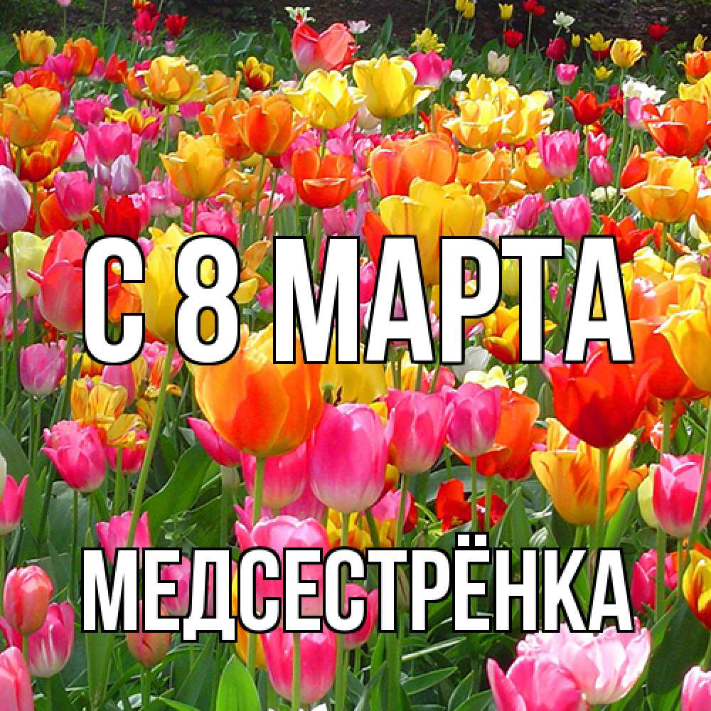Открытка на каждый день с именем, Медсестрёнка C 8 МАРТА на международный женский день Прикольная открытка с пожеланием онлайн скачать бесплатно 