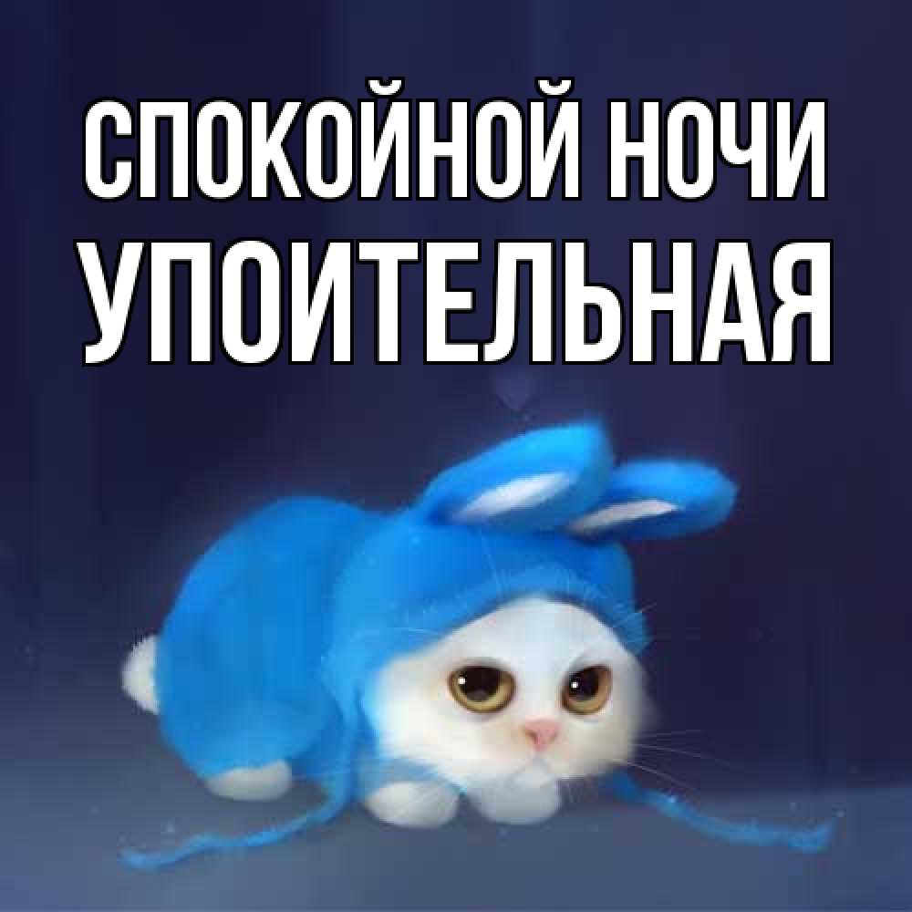Открытка на каждый день с именем, Упоительная Спокойной ночи кот в голубом костюме кролика с ушками Прикольная открытка с пожеланием онлайн скачать бесплатно 