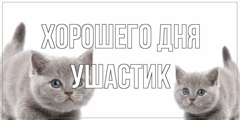 Открытка с именем, Ушастик, Хорошего дня