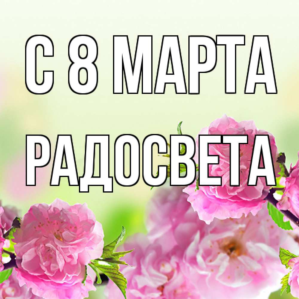 Открытка на каждый день с именем, Радосвета C 8 МАРТА цветы Прикольная открытка с пожеланием онлайн скачать бесплатно 