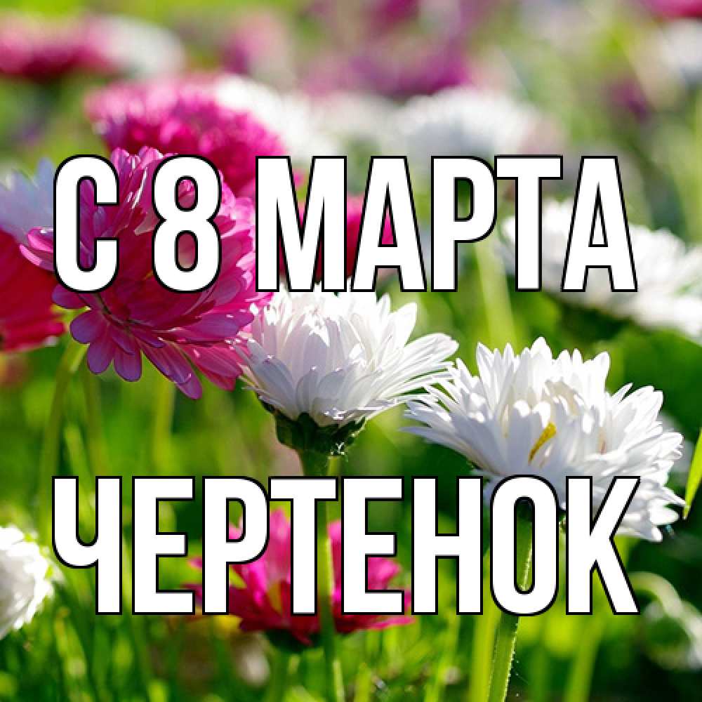 Открытка на каждый день с именем, чеpтенок C 8 МАРТА международный женский день 1 Прикольная открытка с пожеланием онлайн скачать бесплатно 