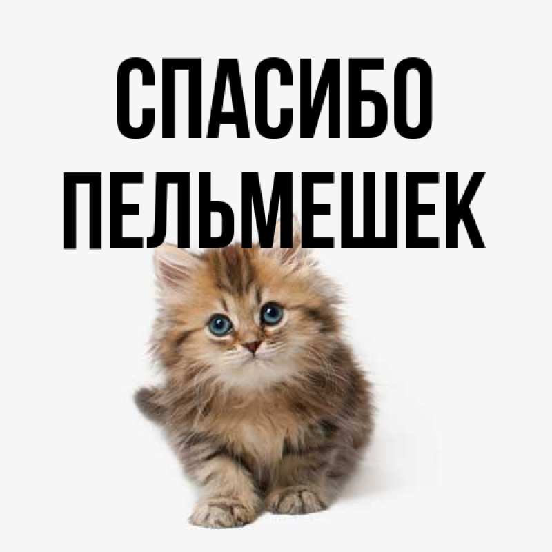 Открытка с именем, пельмешек, Спасибо
