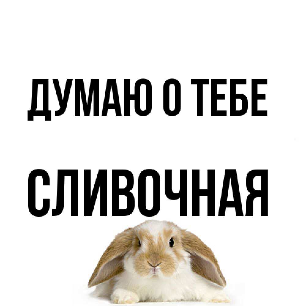 Открытка на каждый день с именем, Сливочная Думаю о тебе подписать своими руками онлайн Прикольная открытка с пожеланием онлайн скачать бесплатно 