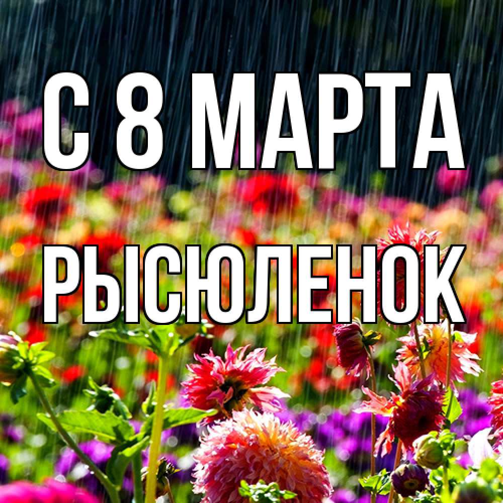 Открытка на каждый день с именем, Рысюленок C 8 МАРТА цветы под дождиком к международному женскому дню Прикольная открытка с пожеланием онлайн скачать бесплатно 