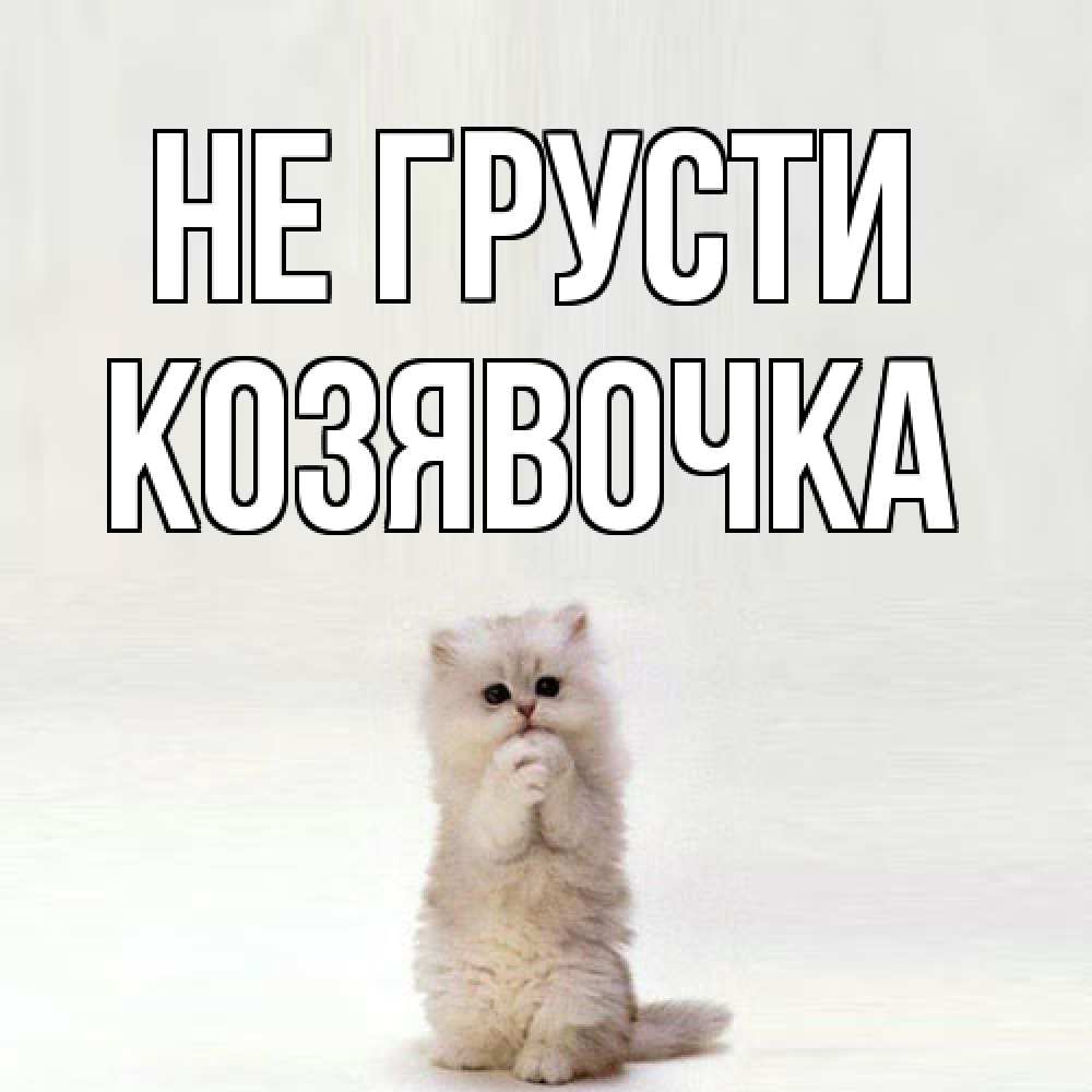 Открытка на каждый день с именем, Козявочка Не грусти грустный кот Прикольная открытка с пожеланием онлайн скачать бесплатно 