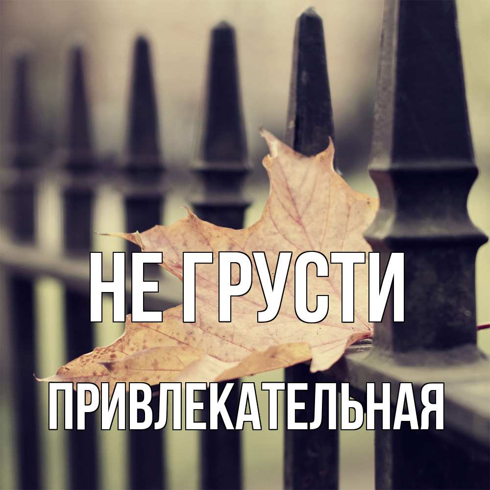 Открытка на каждый день с именем, привлекательная Не грусти лист клена Прикольная открытка с пожеланием онлайн скачать бесплатно 