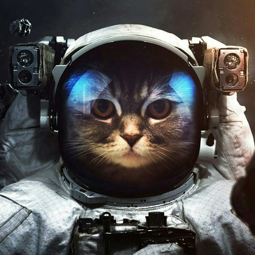 Открытка на каждый день с именем, Озорница Счастливого пути желает удачно добраться Прикольная открытка с пожеланием онлайн скачать бесплатно 