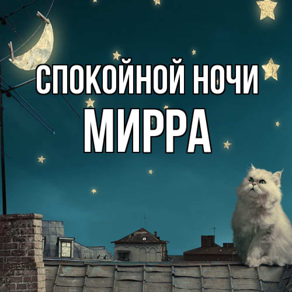 Открытка на каждый день с именем, Мирра Спокойной ночи белый кот сидит на крыше Прикольная открытка с пожеланием онлайн скачать бесплатно 