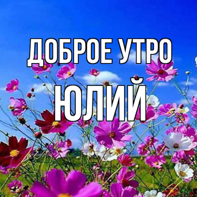 Картинка Доброе утро, Юлий