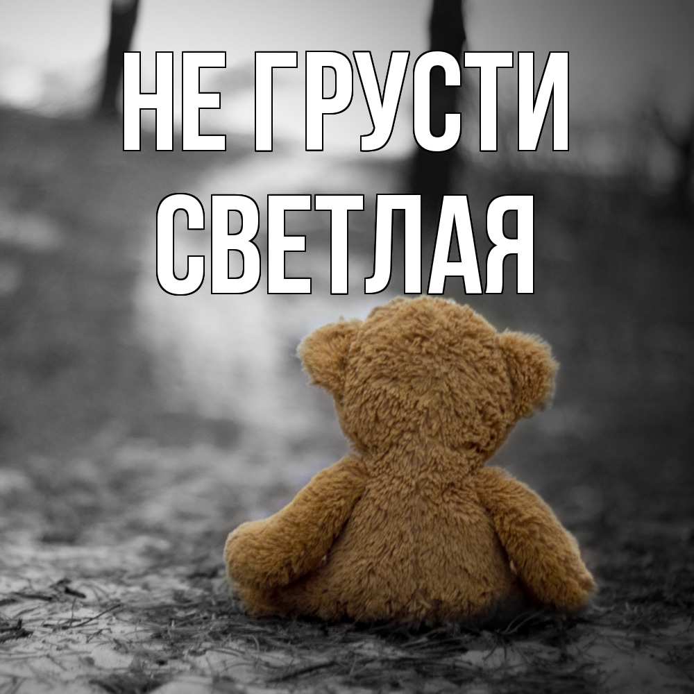 Открытка на каждый день с именем, Светлая Не грусти медведь со спин Прикольная открытка с пожеланием онлайн скачать бесплатно 