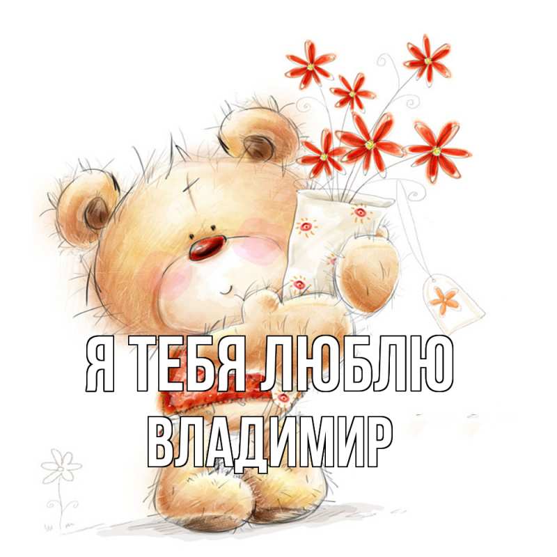 Картинка Я тебя люблю, Владимир