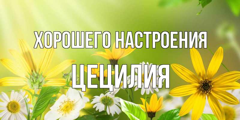 Открытка с именем, Цецилия, Хорошего настроения