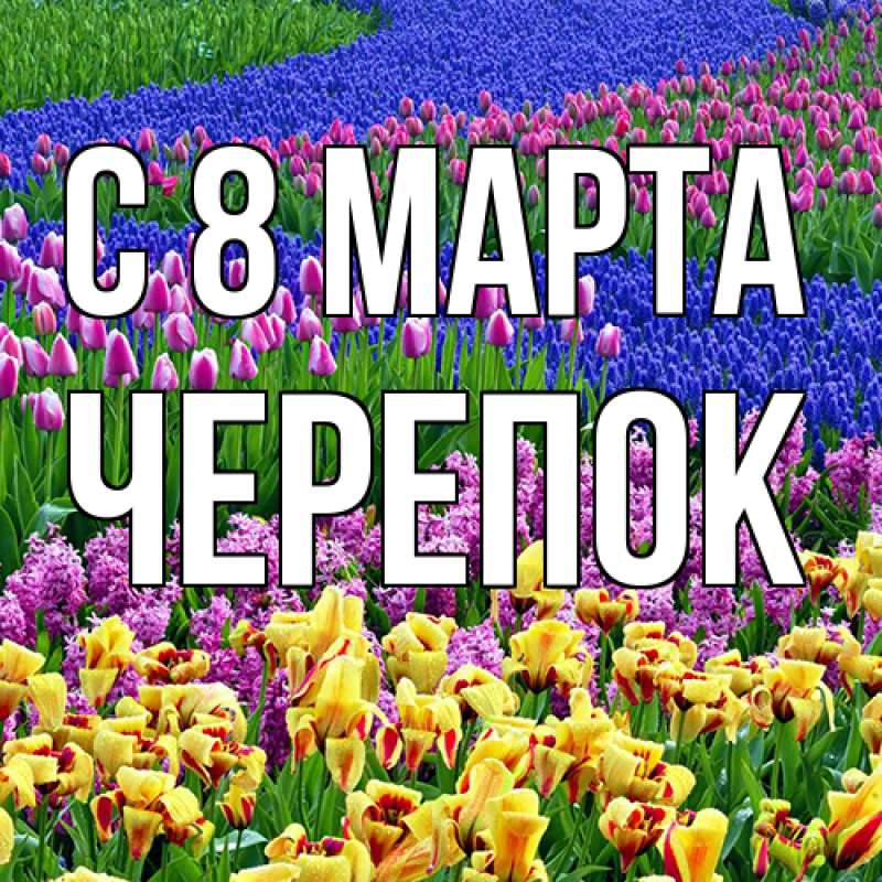 Открытка с именем, Черепок, C 8 МАРТА