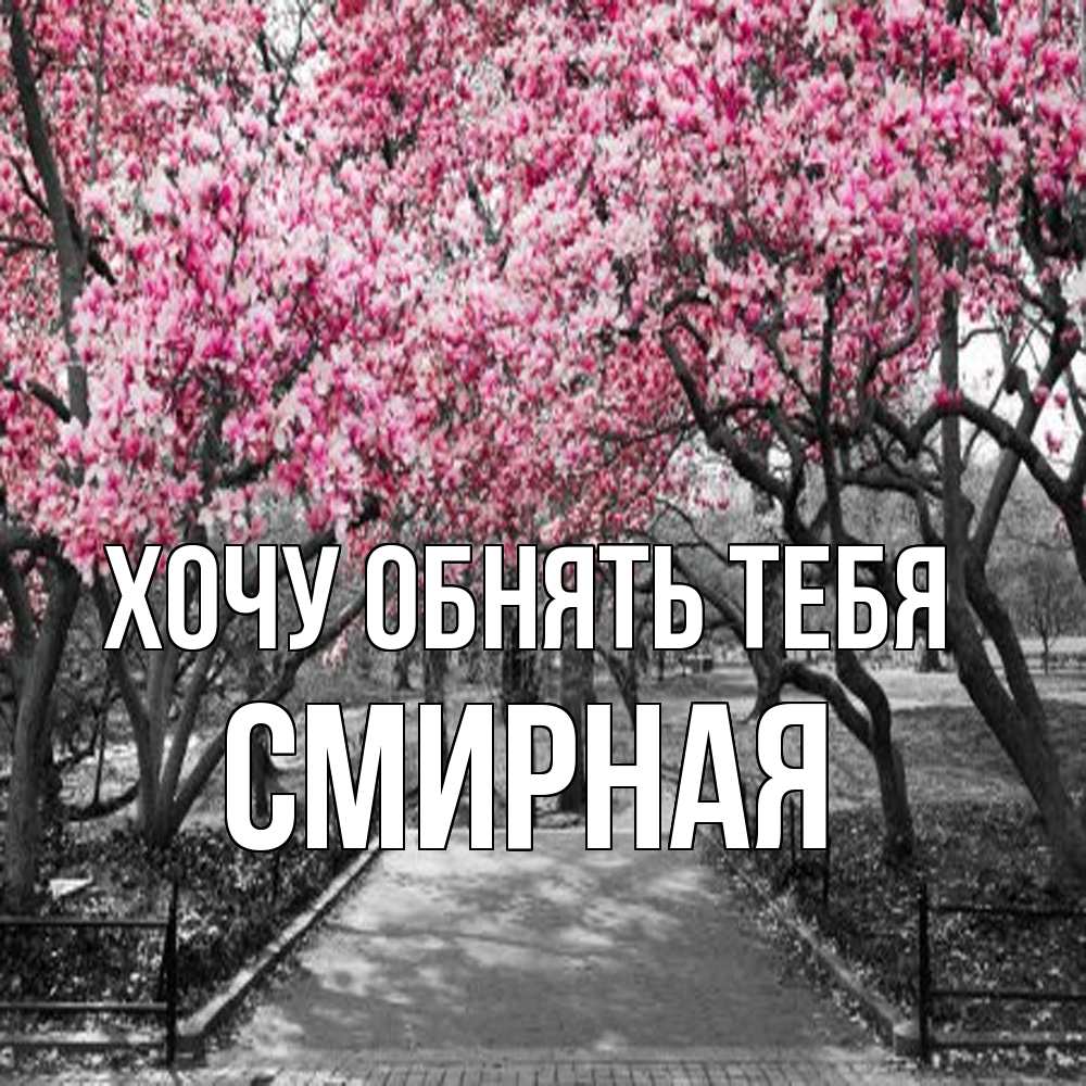 Открытка на каждый день с именем, Смиpная Хочу обнять тебя обработанное фото Прикольная открытка с пожеланием онлайн скачать бесплатно 