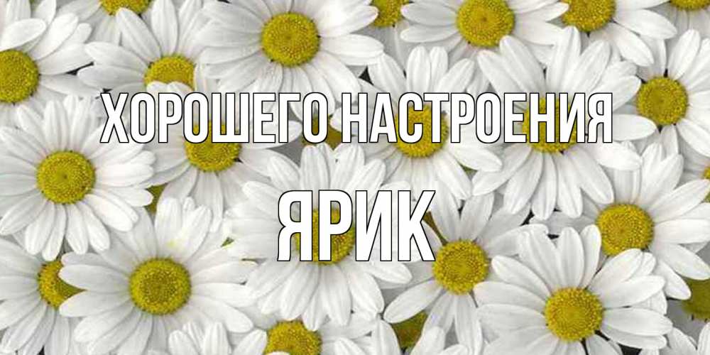 Открытка на каждый день с именем, Ярик Хорошего настроения поляна ромашек Прикольная открытка с пожеланием онлайн скачать бесплатно 