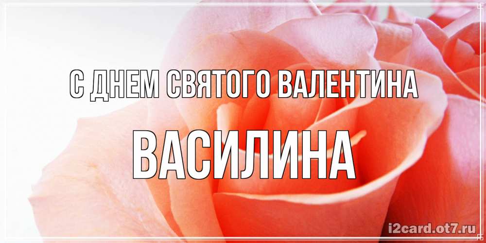 Открытка на каждый день с именем, Василина С днем Святого Валентина открытка на день Святого Валентина с розовой розой Прикольная открытка с пожеланием онлайн скачать бесплатно 