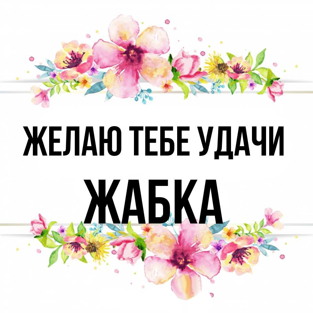 Открытка на каждый день с именем, Жабка Желаю тебе удачи пусть повезет 1 Прикольная открытка с пожеланием онлайн скачать бесплатно 