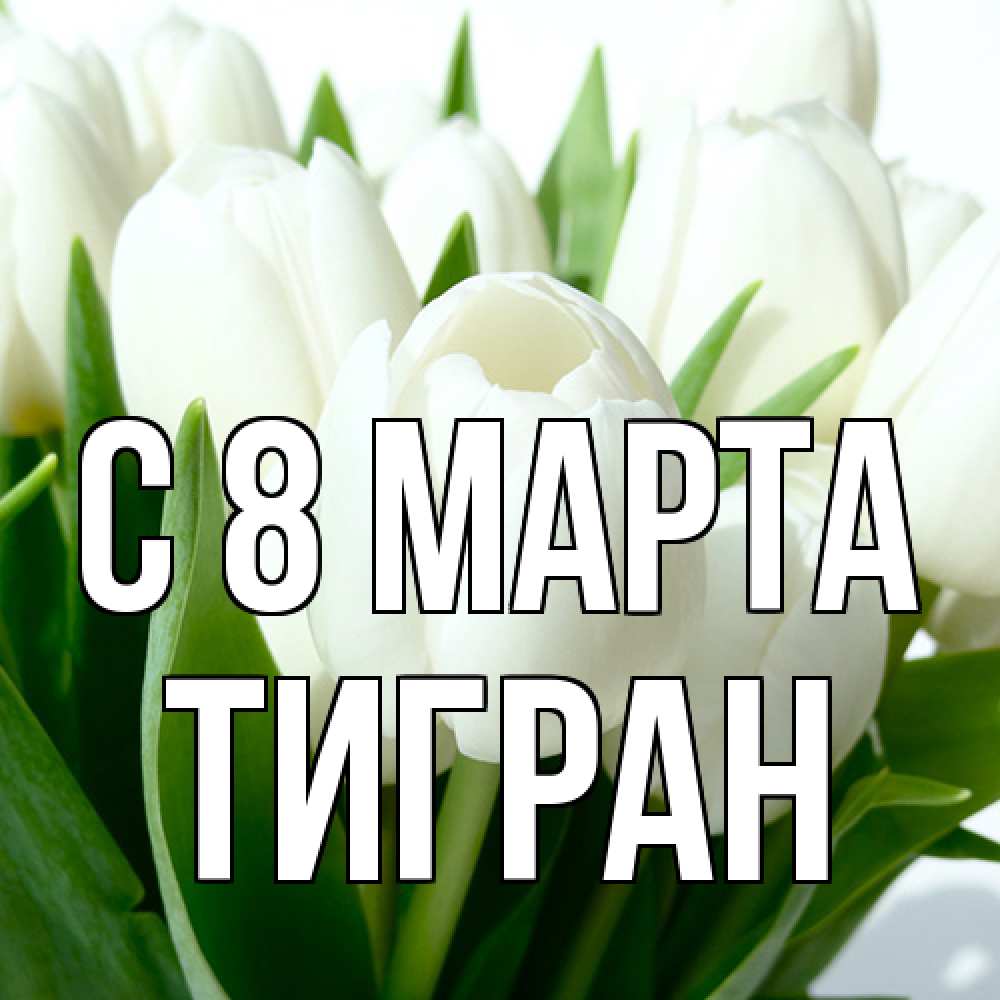 Открытка на каждый день с именем, Тигран C 8 МАРТА цветы Прикольная открытка с пожеланием онлайн скачать бесплатно 