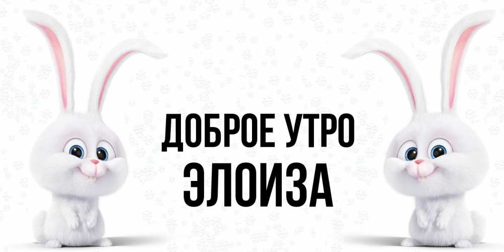 Открытка на каждый день с именем, Элоиза Доброе утро кролики с длинными ушками Прикольная открытка с пожеланием онлайн скачать бесплатно 