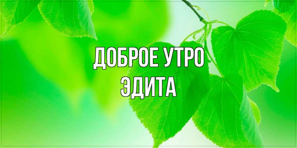 Открытка на каждый день с именем, Эдита Доброе утро доброе утро с березовыми листьями Прикольная открытка с пожеланием онлайн скачать бесплатно 