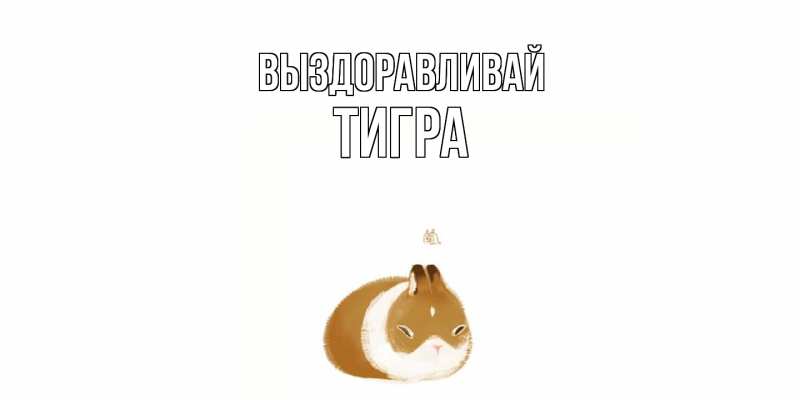 Картинка Выздоравливай, Тигра